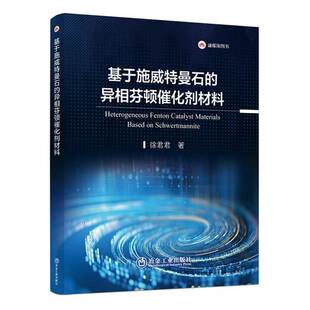 RT69包邮 基于施威特曼石的异相芬顿催化剂材料冶金工业出版社自然科学图书书籍