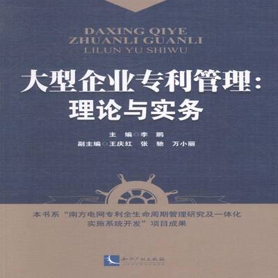 RT69包邮 大型企业专利管理:理论与实务知识产权出版社管理图书书籍
