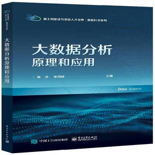 RT69包邮 大数据分析原理和应用电子工业出版社工业技术图书书籍