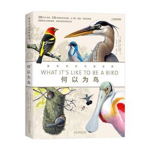 RT69包邮 何以为鸟:西布利的鸟类世界湖南科学技术出版社自然科学图书书籍