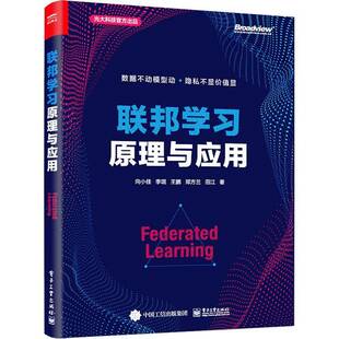 社工业技术图书书籍 联邦学习原理与应用电子工业出版 RT69 包邮