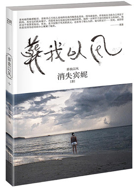 葬我以风 消失宾妮作品 当代文学青春小说书籍青春校园成长励志都市情感小说现当代文学随笔集作品