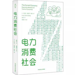 RT69包邮 电力消费社会:electricity markets and techno-economic华东师范大学出版社经济图书书籍
