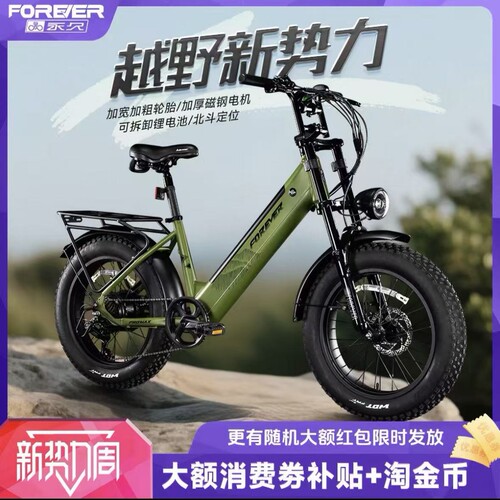 永久电助力宽胎越野车锂电池自行车山地车沙滩车双碟刹禧玛诺变速