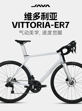 JAVA/佳沃维多利亚VITTORIA气动公路车24蓝图电子变速高端铝合金