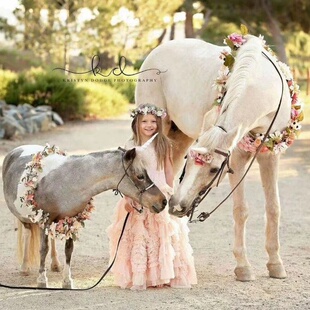 定制仿真花绢花马术花环套马脖子装饰花环缰绳装饰赛马马儿花