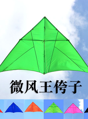 风筝微风易飞大型三角544伞布软碳杆成人大人专用王侉子潍坊