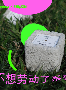 SEEyAZhh香薰蜡烛苔藓森林柠檬树下高颜值送女生小众高级生日礼物