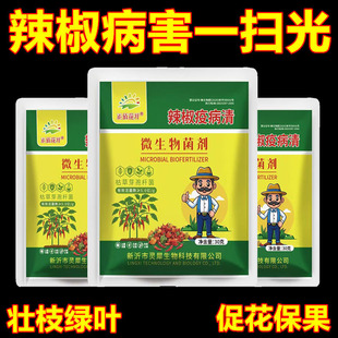复合微生物菌剂辣椒疫病清辣椒卷叶专用药农用炭疽黄叶枯萎根腐灰