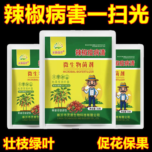 复合微生物菌剂辣椒疫病清辣椒卷叶专用药农用炭疽黄叶枯萎根腐灰