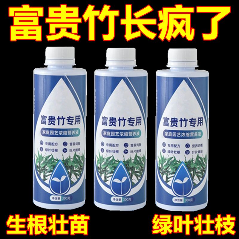 富贵竹专用营养液发财竹观音竹水培植物铜钱草绿植盆栽养花肥料