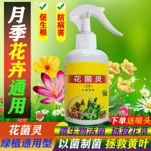 花卉专用除菌灵营养液花菌灵免稀释喷雾肥料家庭园艺通用型