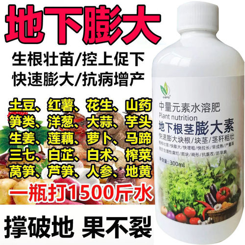地下根茎膨大素块根块茎膨大素大蒜土豆快速膨大剂专用红薯农用肥