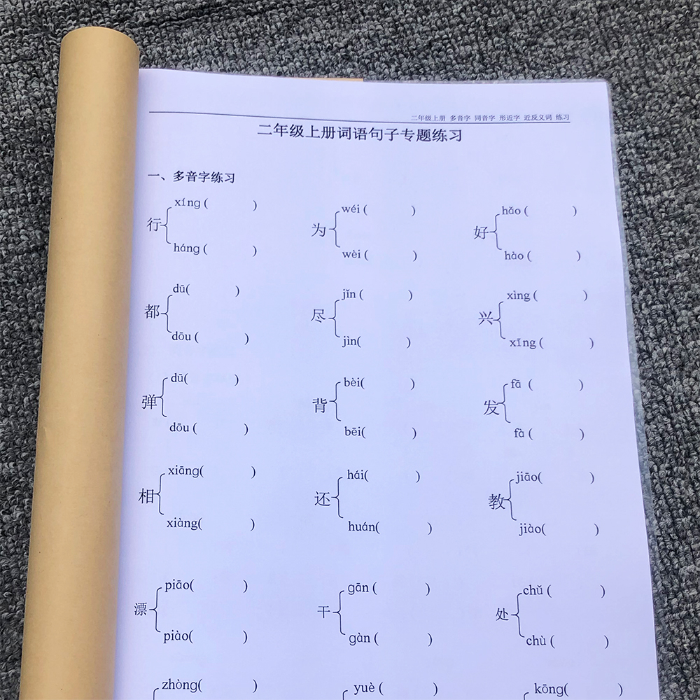 二年级上册多音同音形近字练习本