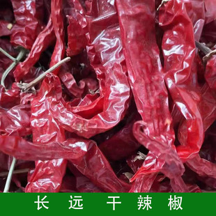 东北农家自晒辣椒干笨辣椒大红椒香辣美味干货整个辣椒干