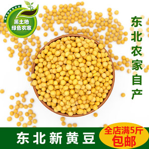 新粮黄豆打豆浆黄豆东北大黄豆非转基因发豆芽黄豆笨黄豆杂粮1斤