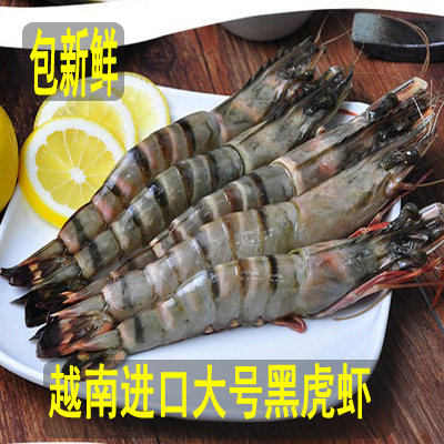 超大礼盒鲜活冷冻老虎虾