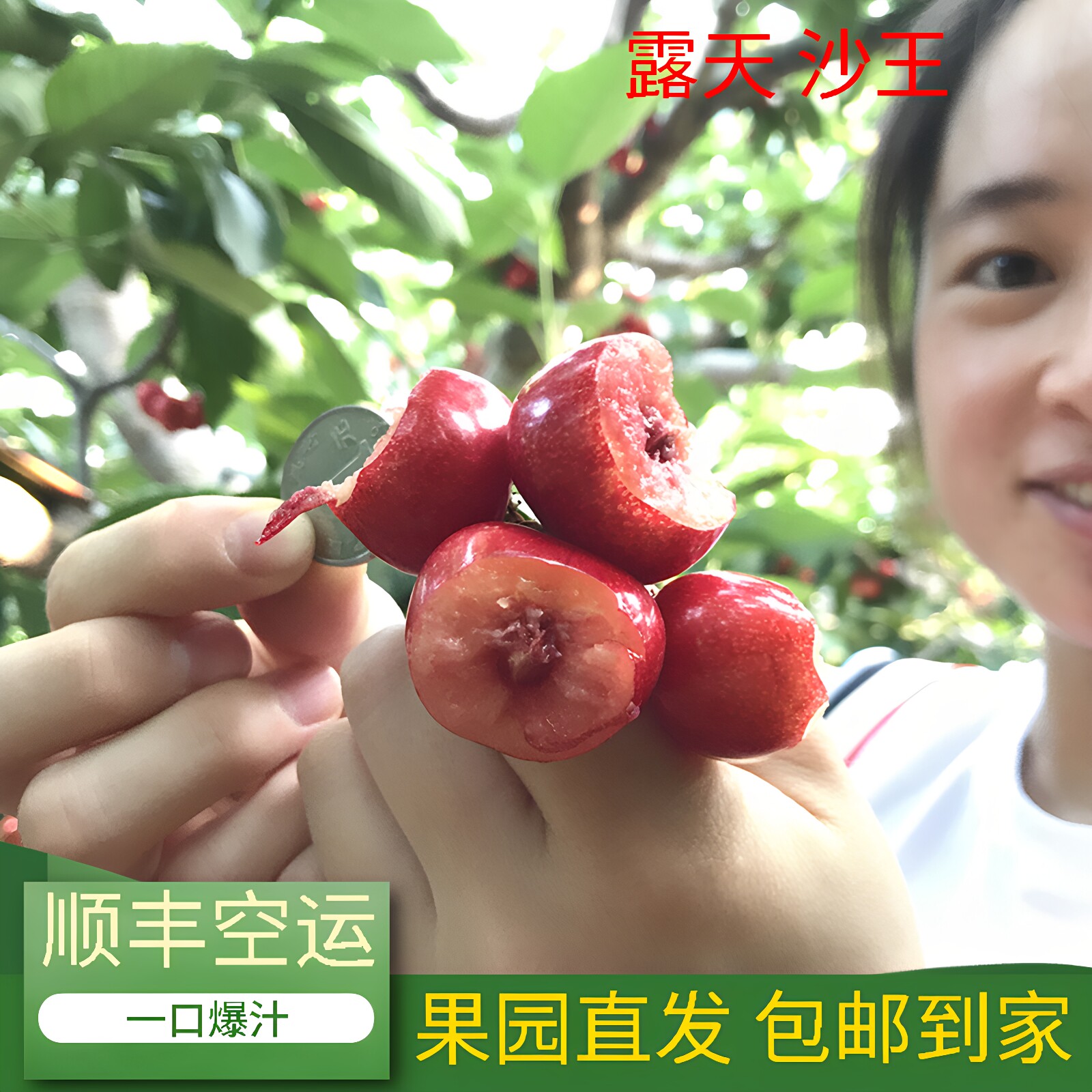沙王沙蜜豆应季水果心形萨米脱 大连金州大樱桃皮包新鲜顺丰包邮