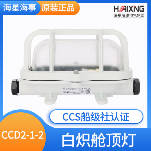 海星船舶铝质白炽舱顶灯