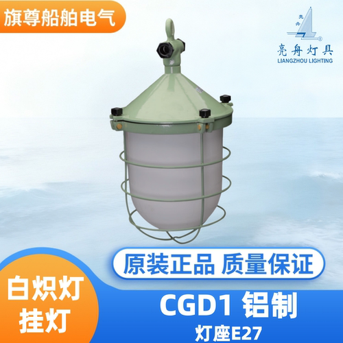 亮舟白炽灯挂灯CGD1铸铝