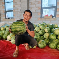 甘肃兰州靖远会宁景泰籽瓜大变小小子赤峰打瓜榨汁低糖孕妇水果