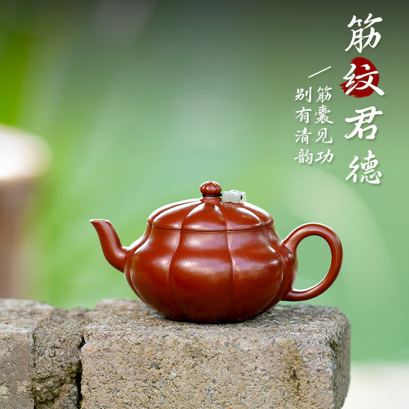【两笔】宜兴原矿紫砂壶王涛全手工茶具小茶壶朱泥洒银筋纹君德