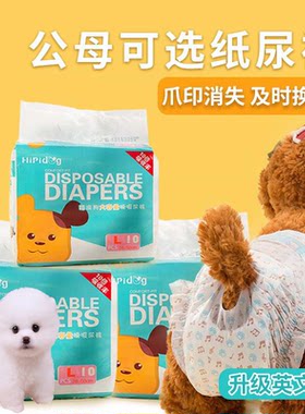 适用小型茶杯贵宾犬狗狗纸尿裤宠物尿不湿母狗生理期姨妈巾月经裤