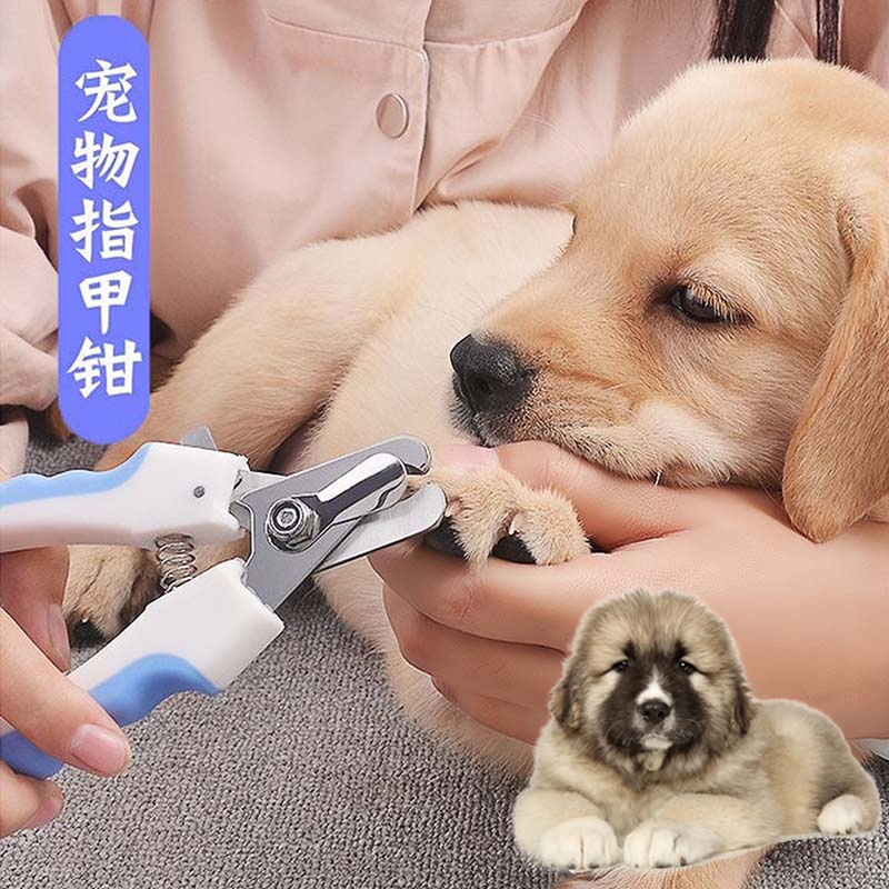 适用高加索牧羊犬狗狗指甲剪磨甲器套装剪指甲钳新手专用宠物用品