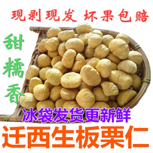 急速发货去皮生栗子仁迁西生板栗仁新鲜真空去壳板栗肉油栗子仁米