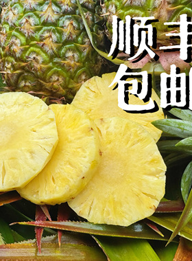【建康啊】海南金钻树上熟凤梨香甜爆汁现采现发顺丰包邮