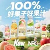 不止夏天100％椰子水NFC果汁480ml 15瓶整箱橙汁荔枝汁苹果汁饮料