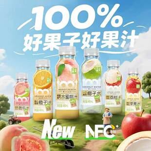 不止夏天100%椰子水NFC果汁480ml*15瓶整箱橙汁荔枝汁苹果汁饮料