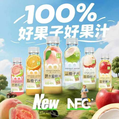不止夏天100％椰子水NFC果汁