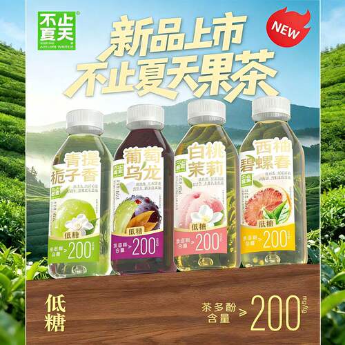 不止夏天果汁茶低糖饮料480ml