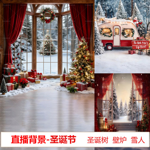 新款圣诞节场景搭建直播间