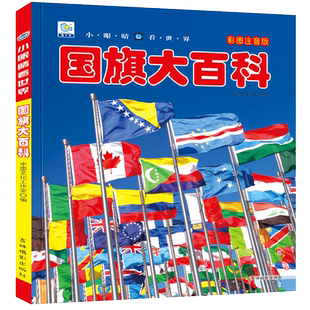 世界各国国旗大百科大全书 儿童书籍 五六七岁宝宝早教启蒙认知图册介绍关于各个国家地理知识认识国徽标志的书本旗卡图片国旗书