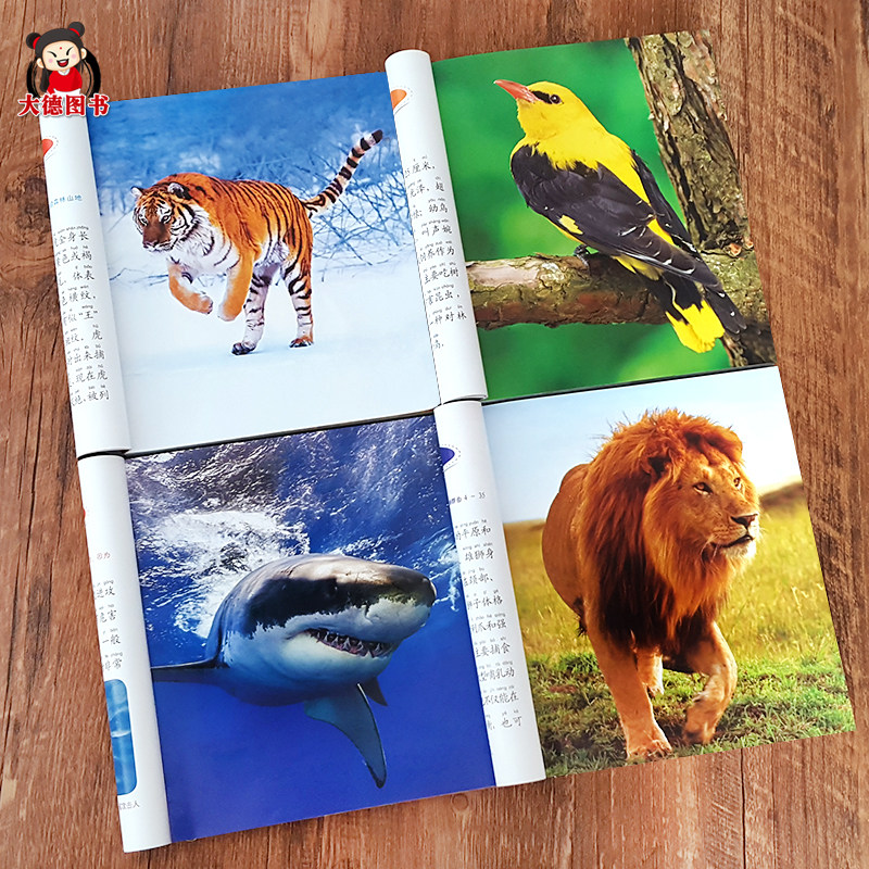 动物世界大百科图书动物王国大探秘宝宝认识动物书籍大全幼儿识图认知