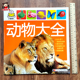 儿童看图识物学认动物图大图小孩子0 2岁书籍早教认物书本 幼儿认识动物书宝宝动物认知书婴儿识别动物图片图卡 小婴孩动物大全