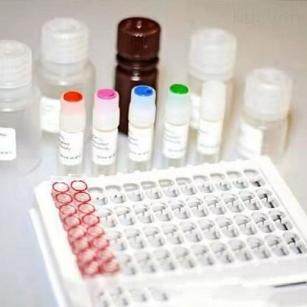 博亿生物科研实验厂家直销