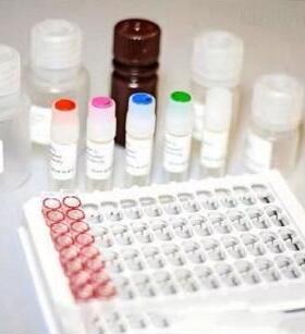EndoFree Plasmid Max Prep Kit 仅供科研实验 博亿生物