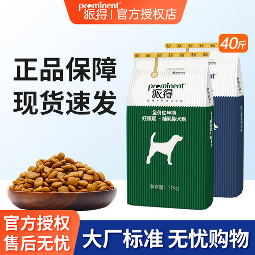 金毛通用型幼犬派得阿拉斯加边牧