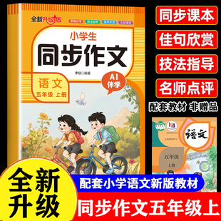 2025五年级上下册同步作文配套人教版满分作文金句素材积累每日一练写作起步思维导图专项训练5年级优秀作文金句彩图版一课一练Q