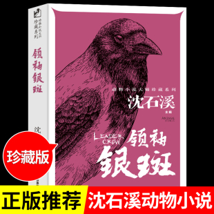 适合小学生三四年级至五六看 沈石溪动物小说全集珍藏版 课外书阅读沈溪石 作品精选书籍十大经典 10岁以上儿童读物 领袖 银斑