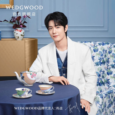 WEDGWOOD花间舞蝶壶杯碟茶具套装