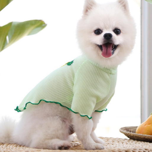 春夏狗狗猫咪宠物衣服打底衫秋两脚衣泰迪比熊猫家居服狗用品服装