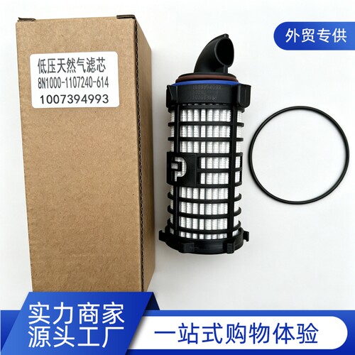 1007394993天燃气滤芯