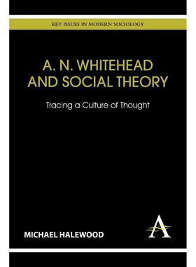 预售 按需印刷A. N. Whitehead and Social Theory  Tracing a Culture of Thought