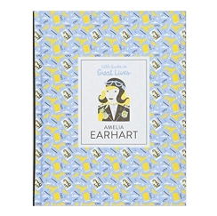 英文原版 Amelia Earhart小指南大人物阿梅莉亚埃尔哈特 儿童启蒙励志名人传记绘本儿童