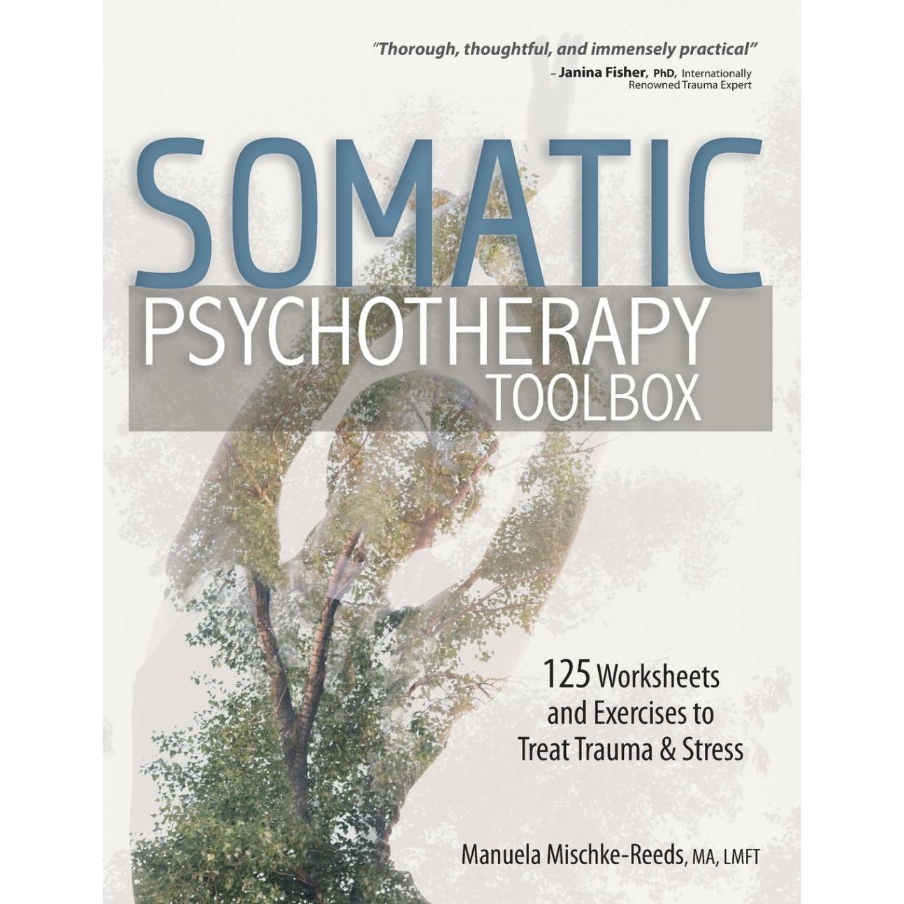按需印刷 Somatic Psychotherapy Toolbox 躯体心理治疗工具箱:125工作表和练习治疗创伤和压力Manuela Mischke-Reeds英文原版