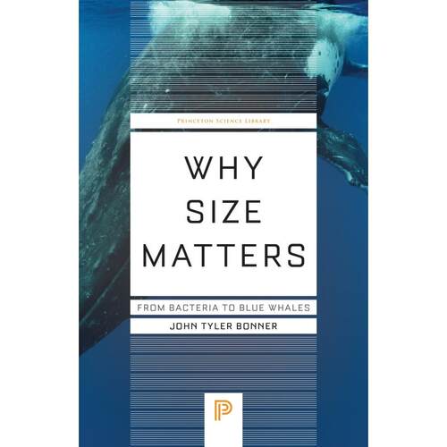 预售 Why Size Matters为什么尺寸很重要——从细菌到蓝鲸